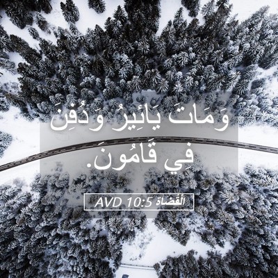 Picture 05 - اَلْقُضَاة 10:5 AVD - وَمَاتَ يَائِيرُ وَدُفِنَ - Bible Verse Picture