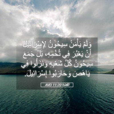 Picture 05 - اَلْقُضَاة 11:20 AVD - وَلَمْ يَأْمَنْ سِيحُونُ - Bible Verse Picture