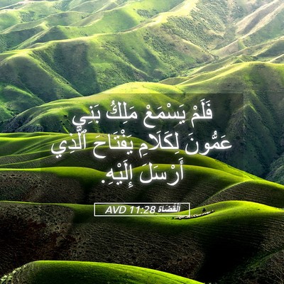 Picture 05 - اَلْقُضَاة 11:28 AVD - فَلَمْ يَسْمَعْ مَلِكُ - Bible Verse Picture
