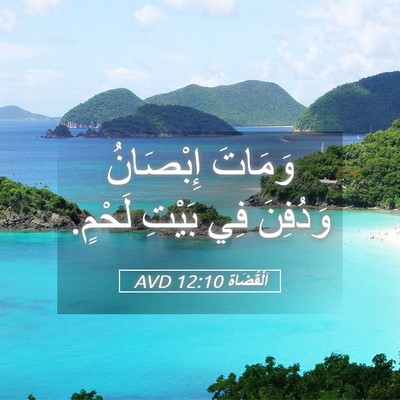 Picture 05 - اَلْقُضَاة 12:10 AVD - وَمَاتَ إِبْصَانُ - Bible Verse Picture