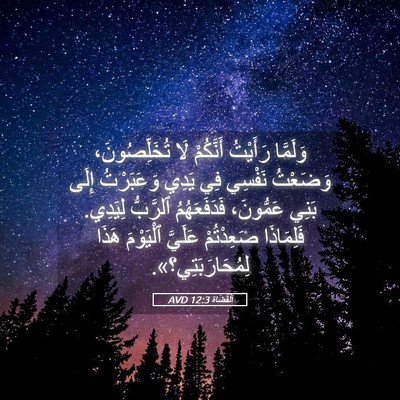 Picture 05 - اَلْقُضَاة 12:3 AVD - وَلَمَّا رَأَيْتُ - Bible Verse Picture