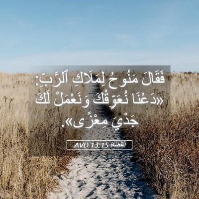 Picture 05 - اَلْقُضَاة 13:15 AVD - فَقَالَ مَنُوحُ لِمَلَاكِ - Bible Verse Picture