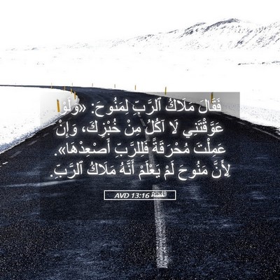 Picture 05 - اَلْقُضَاة 13:16 AVD - فَقَالَ مَلَاكُ ٱلرَّبِّ - Bible Verse Picture