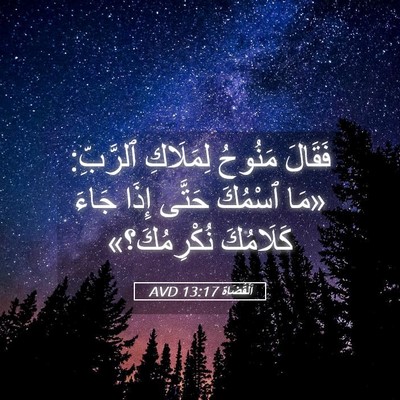 Picture 05 - اَلْقُضَاة 13:17 AVD - فَقَالَ مَنُوحُ لِمَلَاكِ - Bible Verse Picture