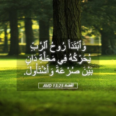 Picture 05 - اَلْقُضَاة 13:25 AVD - وَٱبْتَدَأَ رُوحُ - Bible Verse Picture
