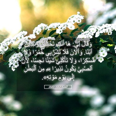 Picture 05 - اَلْقُضَاة 13:7 AVD - وَقَالَ لِي: هَا أَنْتِ - Bible Verse Picture