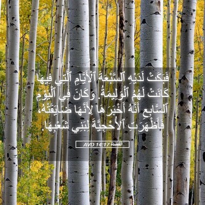 Picture 05 - اَلْقُضَاة 14:17 AVD - فَبَكَتْ لَدَيْهِ - Bible Verse Picture