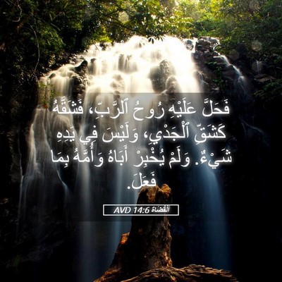 Picture 05 - اَلْقُضَاة 14:6 AVD - فَحَلَّ عَلَيْهِ رُوحُ - Bible Verse Picture