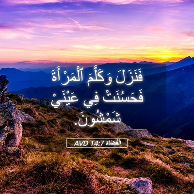 Picture 05 - اَلْقُضَاة 14:7 AVD - فَنَزَلَ وَكَلَّمَ - Bible Verse Picture