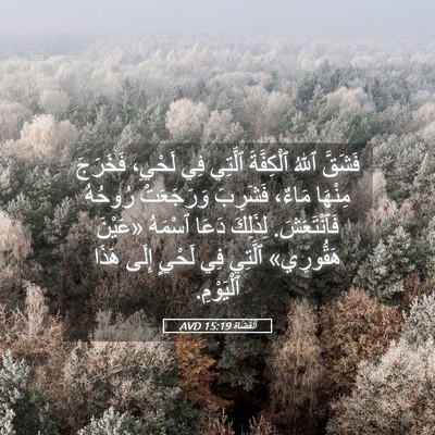Picture 05 - اَلْقُضَاة 15:19 AVD - فَشَقَّ ٱللهُ ٱلْكِفَّةَ - Bible Verse Picture