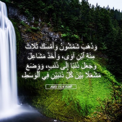 Picture 05 - اَلْقُضَاة 15:4 AVD - وَذَهَبَ شَمْشُونُ - Bible Verse Picture