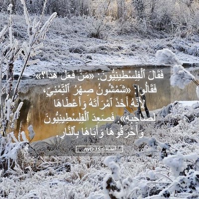 Picture 05 - اَلْقُضَاة 15:6 AVD - فَقَالَ - Bible Verse Picture