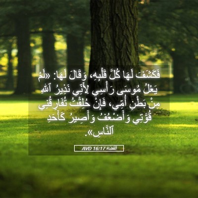 Picture 05 - اَلْقُضَاة 16:17 AVD - فَكَشَفَ لَهَا كُلَّ - Bible Verse Picture