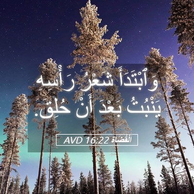 Picture 05 - اَلْقُضَاة 16:22 AVD - وَٱبْتَدَأَ شَعْرُ - Bible Verse Picture