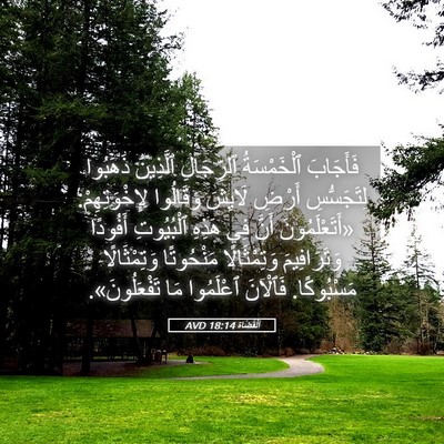 Picture 05 - اَلْقُضَاة 18:14 AVD - فَأَجَابَ ٱلْخَمْسَةُ - Bible Verse Picture