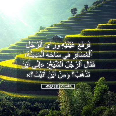 Picture 05 - اَلْقُضَاة 19:17 AVD - فَرَفَعَ عَيْنَيْهِ - Bible Verse Picture