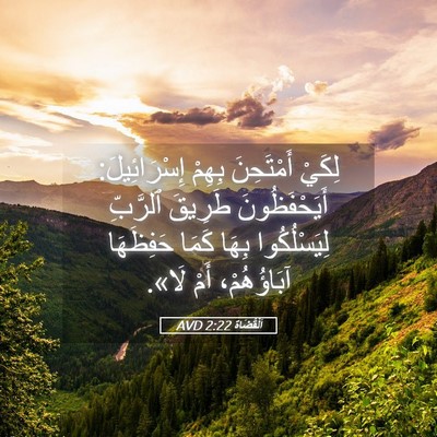 Picture 05 - اَلْقُضَاة 2:22 AVD - لِكَيْ أَمْتَحِنَ بِهِمْ - Bible Verse Picture