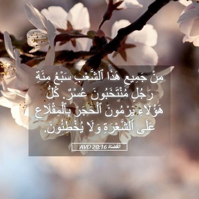 Picture 05 - اَلْقُضَاة 20:16 AVD - مِنْ جَمِيعِ هَذَا - Bible Verse Picture