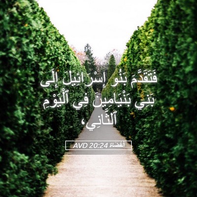 Picture 05 - اَلْقُضَاة 20:24 AVD - فَتَقَدَّمَ بَنُو - Bible Verse Picture