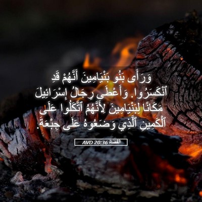 Picture 05 - اَلْقُضَاة 20:36 AVD - وَرَأَى بَنُو - Bible Verse Picture