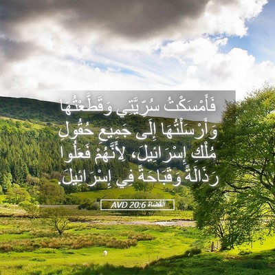 Picture 05 - اَلْقُضَاة 20:6 AVD - فَأَمْسَكْتُ سُرِّيَّتِي - Bible Verse Picture
