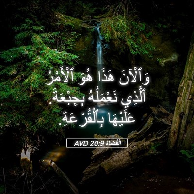 Picture 05 - اَلْقُضَاة 20:9 AVD - وَٱلْآنَ هَذَا هُوَ - Bible Verse Picture