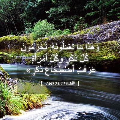 Picture 05 - اَلْقُضَاة 21:11 AVD - وَهَذَا مَا تَعْمَلُونَهُ: - Bible Verse Picture