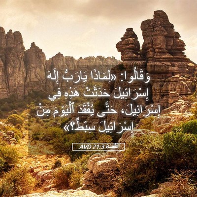 Picture 05 - اَلْقُضَاة 21:3 AVD - وَقَالُوا: «لِمَاذَا - Bible Verse Picture