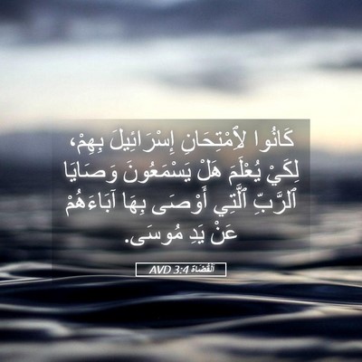 Picture 05 - اَلْقُضَاة 3:4 AVD - كَانُوا لِٱمْتِحَانِ - Bible Verse Picture