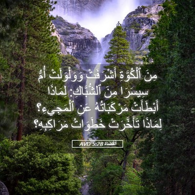Picture 05 - اَلْقُضَاة 5:28 AVD - مِنَ ٱلْكُوَّةِ - Bible Verse Picture