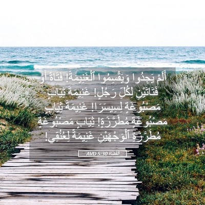 Picture 05 - اَلْقُضَاة 5:30 AVD - أَلَمْ يَجِدُوا - Bible Verse Picture