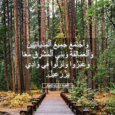 Picture 05 - اَلْقُضَاة 6:33 AVD - وَٱجْتَمَعَ جَمِيعُ - Bible Verse Picture