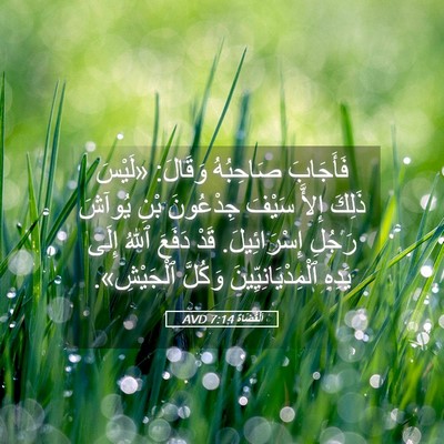 Picture 05 - اَلْقُضَاة 7:14 AVD - فَأَجَابَ صَاحِبُهُ - Bible Verse Picture
