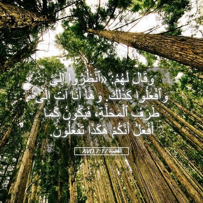 Picture 05 - اَلْقُضَاة 7:17 AVD - وَقَالَ لَهُمُ: «ٱنْظُرُوا - Bible Verse Picture