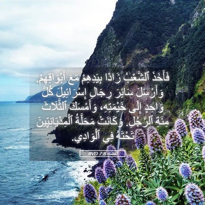 Picture 05 - اَلْقُضَاة 7:8 AVD - فَأَخَذَ ٱلشَّعْبُ زَادًا - Bible Verse Picture