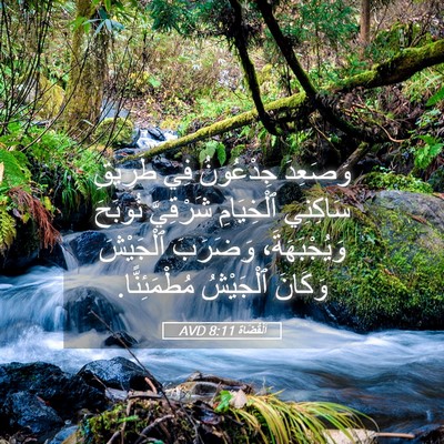 Picture 05 - اَلْقُضَاة 8:11 AVD - وَصَعِدَ جِدْعُونُ فِي - Bible Verse Picture