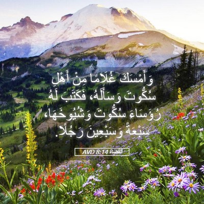 Picture 05 - اَلْقُضَاة 8:14 AVD - وَأَمْسَكَ غُلَامًا مِنْ - Bible Verse Picture