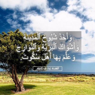 Picture 05 - اَلْقُضَاة 8:16 AVD - وَأَخَذَ شُيُوخَ - Bible Verse Picture