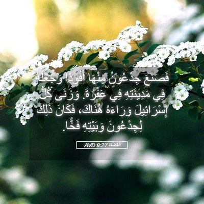 Picture 05 - اَلْقُضَاة 8:27 AVD - فَصَنَعَ جِدْعُونُ - Bible Verse Picture