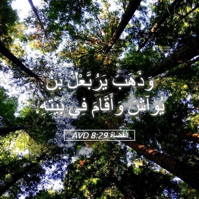 Picture 05 - اَلْقُضَاة 8:29 AVD - وَذَهَبَ يَرُبَّعْلُ بْنُ - Bible Verse Picture