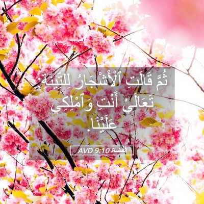 Picture 05 - اَلْقُضَاة 9:10 AVD - ثُمَّ قَالَتِ - Bible Verse Picture