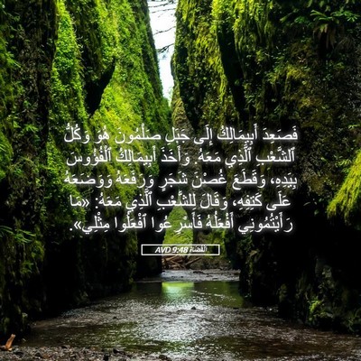 Picture 05 - اَلْقُضَاة 9:48 AVD - فَصَعِدَ أَبِيمَالِكُ - Bible Verse Picture