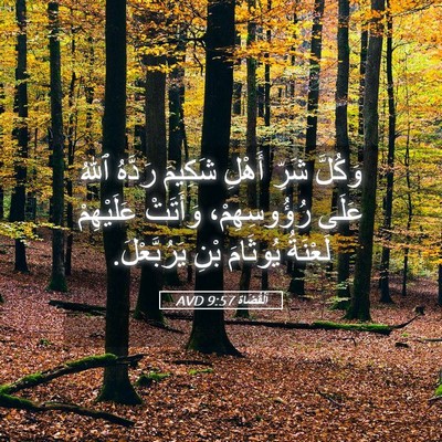 Picture 05 - اَلْقُضَاة 9:57 AVD - وَكُلَّ شَرِّ أَهْلِ - Bible Verse Picture