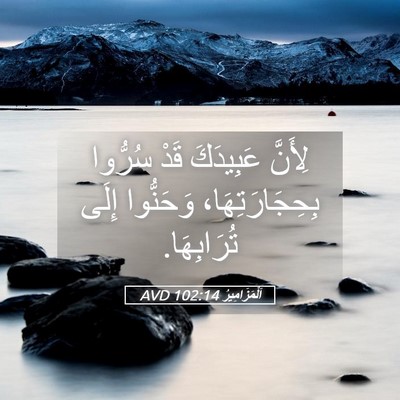 Picture 05 - اَلْمَزَامِيرُ 102:14 AVD - لِأَنَّ عَبِيدَكَ قَدْ - Bible Verse Picture