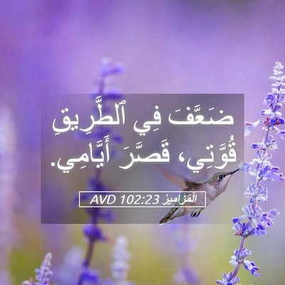 Picture 05 - اَلْمَزَامِيرُ 102:23 AVD - ضَعَّفَ فِي ٱلطَّرِيقِ - Bible Verse Picture
