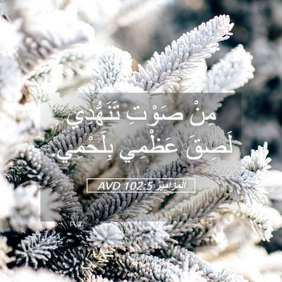 Picture 05 - اَلْمَزَامِيرُ 102:5 AVD - مِنْ صَوْتِ تَنَهُّدِي - Bible Verse Picture