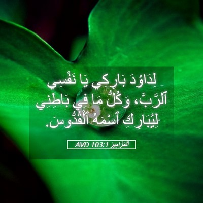 Picture 05 - اَلْمَزَامِيرُ 103:1 AVD - لِدَاوُدَ بَارِكِي يَا - Bible Verse Picture
