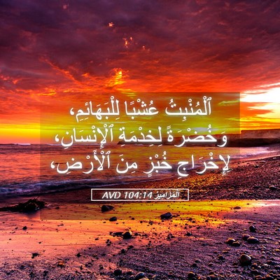 Picture 05 - اَلْمَزَامِيرُ 104:14 AVD - ٱلْمُنْبِتُ عُشْبًا - Bible Verse Picture