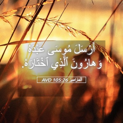 Picture 05 - اَلْمَزَامِيرُ 105:26 AVD - أَرْسَلَ مُوسَى عَبْدَهُ - Bible Verse Picture
