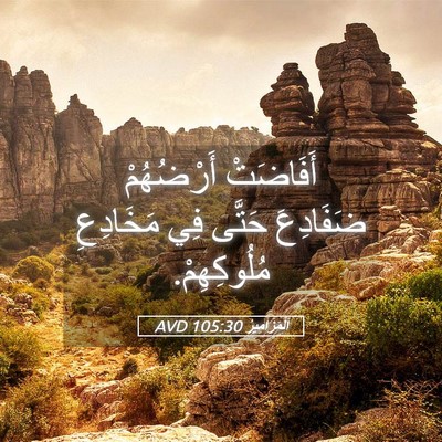 Picture 05 - اَلْمَزَامِيرُ 105:30 AVD - أَفَاضَتْ أَرْضُهُمْ - Bible Verse Picture
